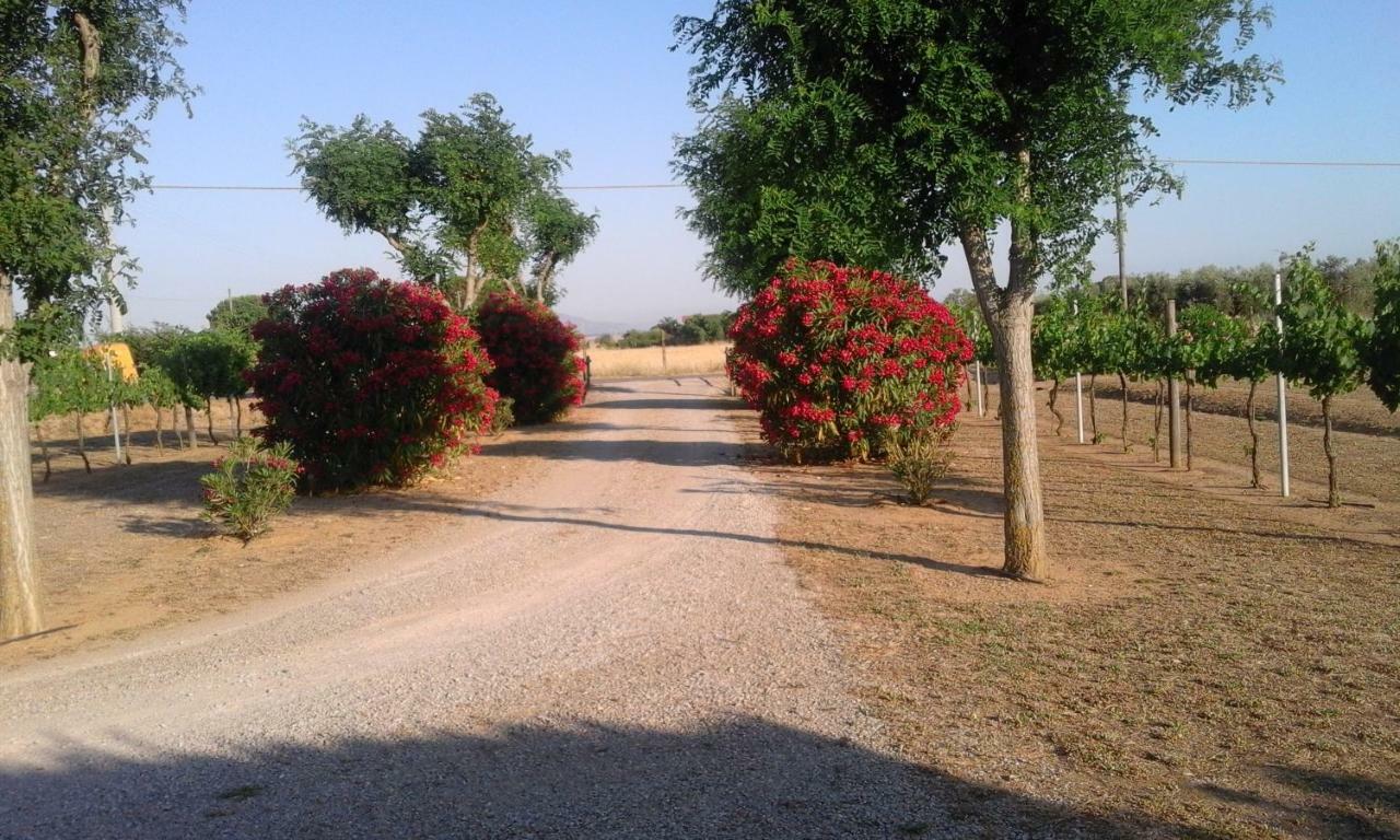 Вилла Monolocale Con Giardino Кастильоне-делла-Пеская Экстерьер фото